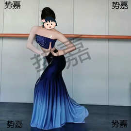 傣族舞蹈服装演出服女成人新款云南西双版纳孔雀舞练习裙剧目艺考