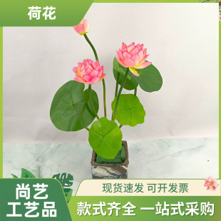 ����ɻ����~�����~���b�ɏ��ɏ���߷���ɻ����ٻ�ˮ�؈@ˇ��