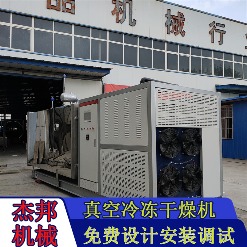 5-20平真空冷冻干燥机 制药冻干粉冻干设备 果蔬商用