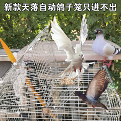 新型ハト捕獲器家庭用鳥かごハト籠養殖工場屋外自動天落籠回転籠板籠亜鉛メッキ