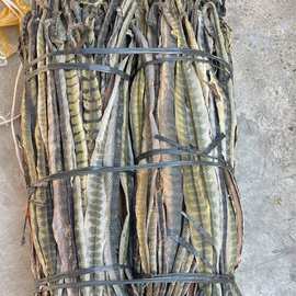 海蛇 深海海产品干货 海蛇干货 泡酒煲汤500克10-15条左右一斤