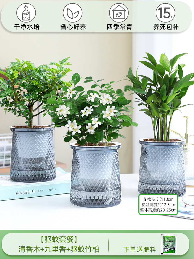 [모기퇴치 패키지] 향나무 + 구리향 + 모기퇴치대나무와 편백나무