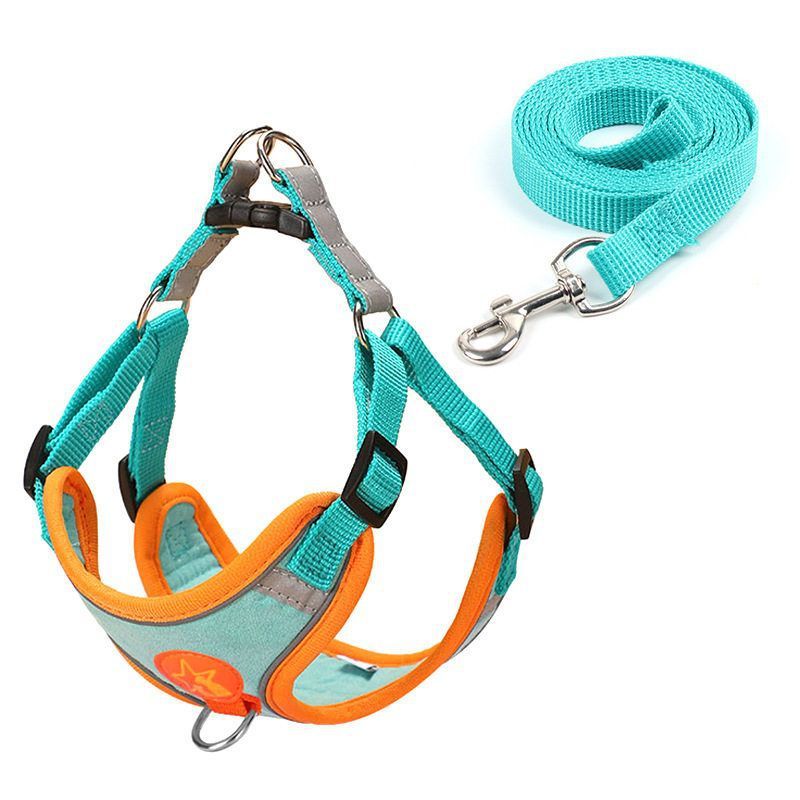 ボーダーコリー子犬用リード、子犬のお出かけ専用チェストバック犬用リード、子犬・大型犬用噛みつき防止ペット用品|undefined
