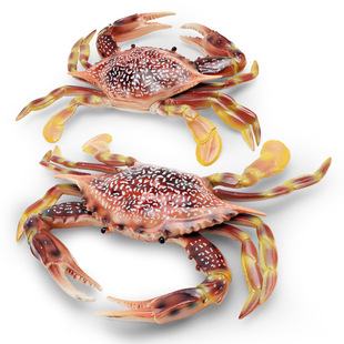 �羳���溣������зģ�̓�ͯ�J֪����з��з���������b[��