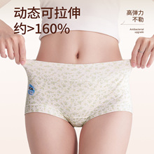 A类婴儿棉抑菌裆加长档包臀碎花女生小平角裤益生菌内裤其他简装7