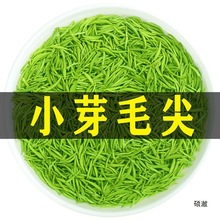2025新茶毛尖茶叶绿茶浓香耐泡型雨前头采嫩芽毛尖批发