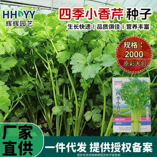 �ļ�С���۷N���͸ߜؿ����׳ɻ����۷N�Ӽ�ͥ�ˈ@�߲˷N�����l