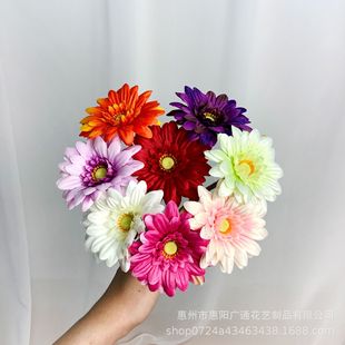 ���޾Ն�֧���滨���ʾղ廨С�����r�ռٻ��Ҿӿ͏d������ˇ�[��