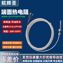 �������� Pt100�K�����ض�̽�^��������y�ķ���ˮ��WZPM-201