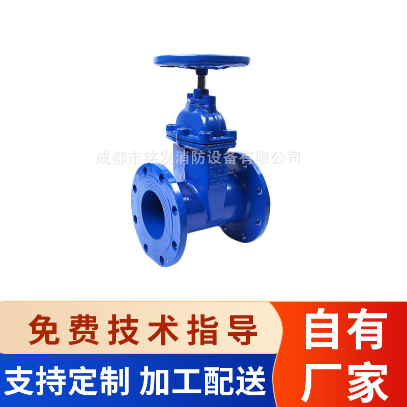 软密封闸阀 铸铁沟槽软密封闸阀 不锈钢法兰铸钢弹性软密封闸阀