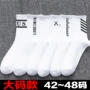 加大中筒运动大码长袜