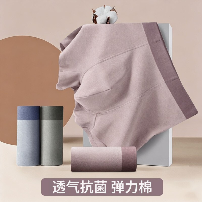 Men's Underwear Pure Cotton Stretch Cotton Boxer Briefs Mid-Waist Breathable Antibacterial Boxer Briefs Wholesale in Stock