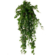 ����18�泣���ٿ��{�ܵ��p�@������cֲ��b���ɽ�� �ڒ�Gֲ