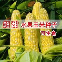 ˮ׷Npɫˮ׷NѴ״֭Ʒ