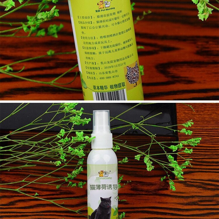 Suministros para mascotas spray de menta gatera spray inductor de spray de menta gatera juguetes para gatos tabla de agarre para gatos juguetes para gatos divertidos