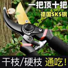 �@�ּ����P�sk5�����@ˇʡ���޼�֦�����֦���Ԙ�֦���ü���