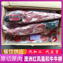 澳洲和牛203红凤凰牛柳M2-3菲力雪花牛肉里脊轻食西餐牛肉批发