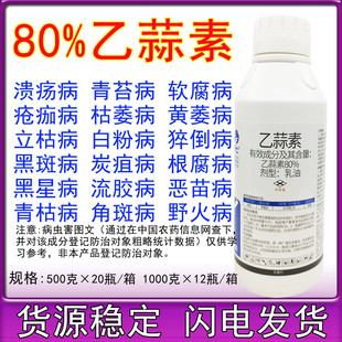 80%���������������������������ή����ݲ�����̦���rș������