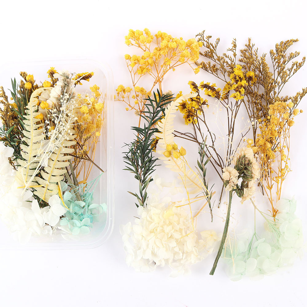 Flores secas preservadas hechas a mano, marco de fotos DIY, decoración mixta, materiales de aromaterapia, flores naturales, ramo de regalo para boda, San Valentín