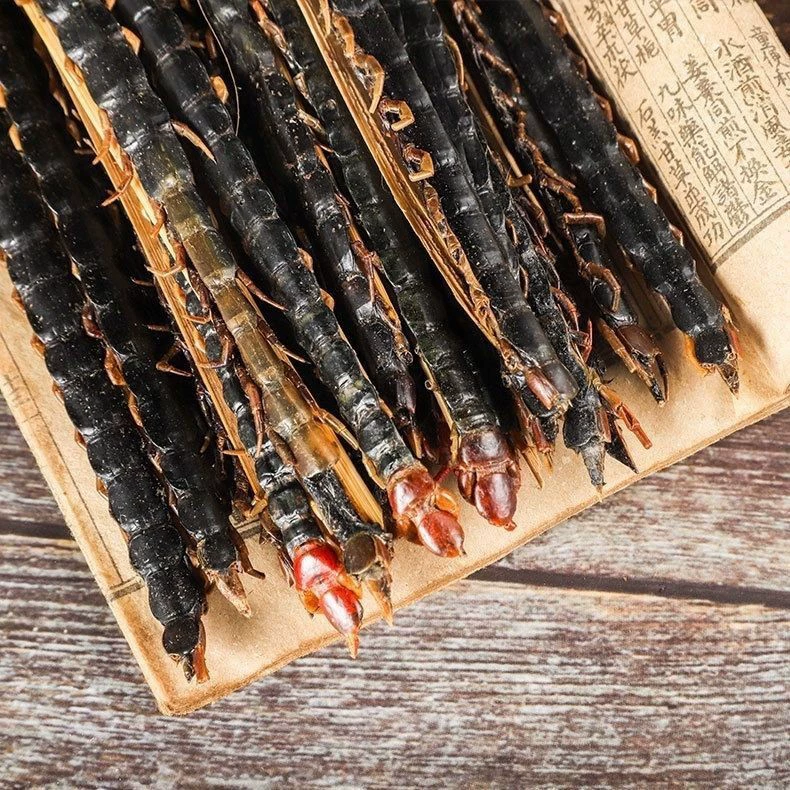 Скорпион многоножка Туюань Пиявка личинка таракан дождевой червь навоз Жук Слау Цикада СЛАУ Коулун червь Кордицепс сушеный продукт