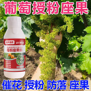 �����ڷ�ș����������������ѹ��������ڷ�ș�ڷ������ڷ۾�����