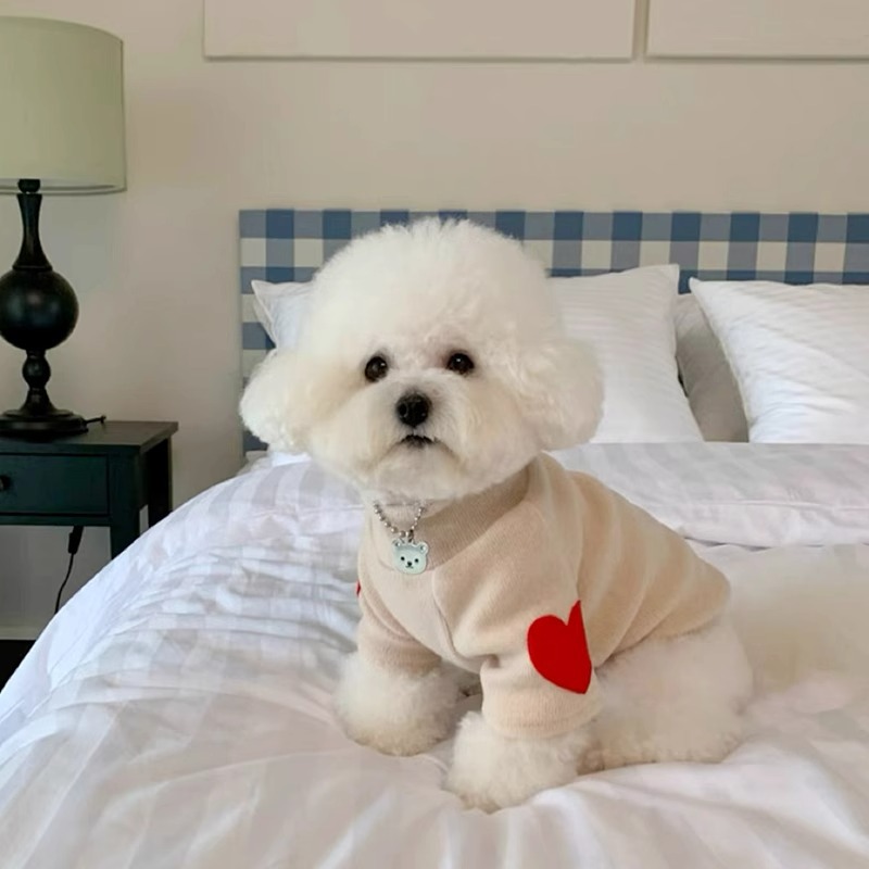 Color sólido corazón rojo amor pegatinas camiseta de base para perros pequeños dos pies de manga larga ropa de mascotas perros al por mayor