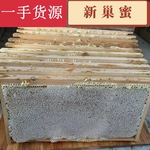 量大从优纯正天然蜂蜜整张蜜脾新巢蜜 批发荆条蜂巢蜜