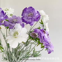 �߼����{�軨���x��݆�S�ո�Ʒ�|���滨�͏d������ƿ�M�ϲ��ϻ�ˇ