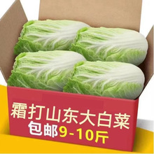 �ײ����r10��ɽ�|��ײ����r10�����߲˖|����ײ����r�߲����r