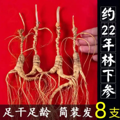 长白山林下参足年老参非园子参足干山参泡酒煲汤材料
