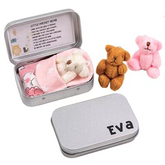 国境を越えた新製品tedy Bear in a Tin Boxぬいぐるみミニ熊仔プレゼント