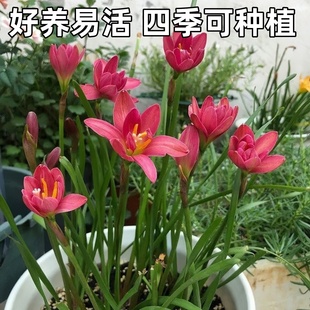 �L���m�N����B�[�m�ͺ��͟�ϲ�̨��������ͥԺ�G���m���������l
