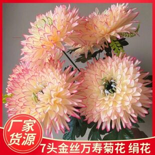 ��z�շ��滨���Q���l�����ω�������Ĺ���뽁���ٻ�7�^�f�۾�