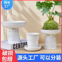 ̦\羳؛ԴSľ⻨ϼӺ͸ûl