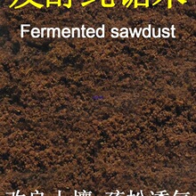 �l���ĩľм�����ľм����I�B��ͥԺ������ֲ�Ř��ЙC����