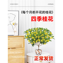 �𻨘����ļ������Կ�ʳ�ö༾�_�����ഺ���҃��̨ͥԺ����ֲ��