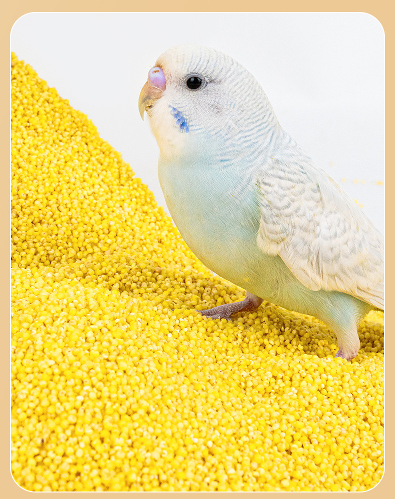 e4d6e0c3-ae40-4efd-b102-3438e6bf7e37.jpe