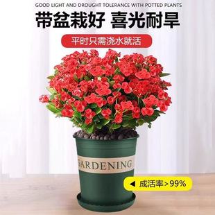 �F�������Ի��ܻ���÷�k���ֲ̨��G�j����ȩ���G�}�������ȩ