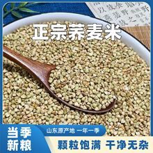 �w���ʬF؛�����w��������s���w���״ּZ���l���ô���b50��