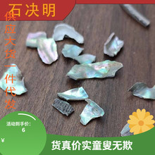 石决明中药材正品 生石决明 鲍鱼壳片 可磨石决明粉