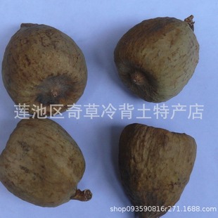 ľ�z�^,��Ƭ,ľɏ��,���^��,���l��ș��ľ�z�^