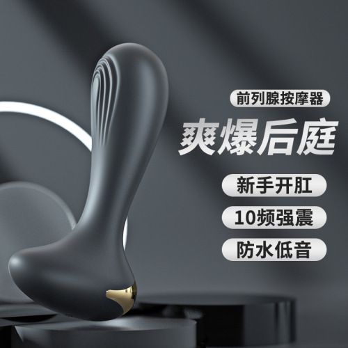 Laile anus silicone plug for men, black silicone vibrating G-spot, masturbation device for adults