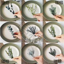 ��Ұ��֧|���D÷����ǧ�ӽ��������ɻ�diy���Ͻ�ָ�����~ֲ��˱�