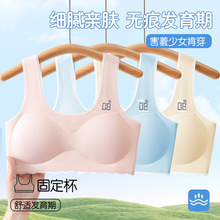 少女女童内衣初中学生青春发育期文胸女孩12-16岁高中抹胸小背心9