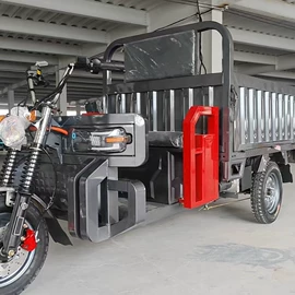 电动三轮车