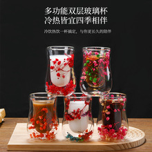 厂家批发真空干花双层玻璃杯 创意高颜值隔热玻璃牛奶早餐咖啡杯