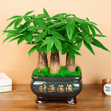 辰ֲںǨҵ칫ֲ