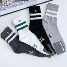 ЦĘpﶬnmͲmINSWԺLsСml