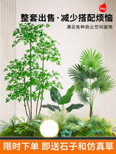 ����Gֲ���^�쾰�M�ϼ٘�ֲ����ݙ����T�껨���҃��b��Ô[�O