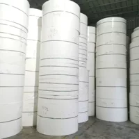Длинноволокнистая древесная масса абсолютно используется для производства длинноволокнистых хвойных картона для производства бумаги.